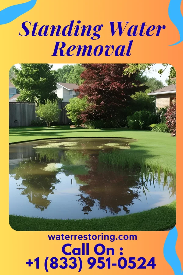 Standing Water Removal in St. Stephen, SC